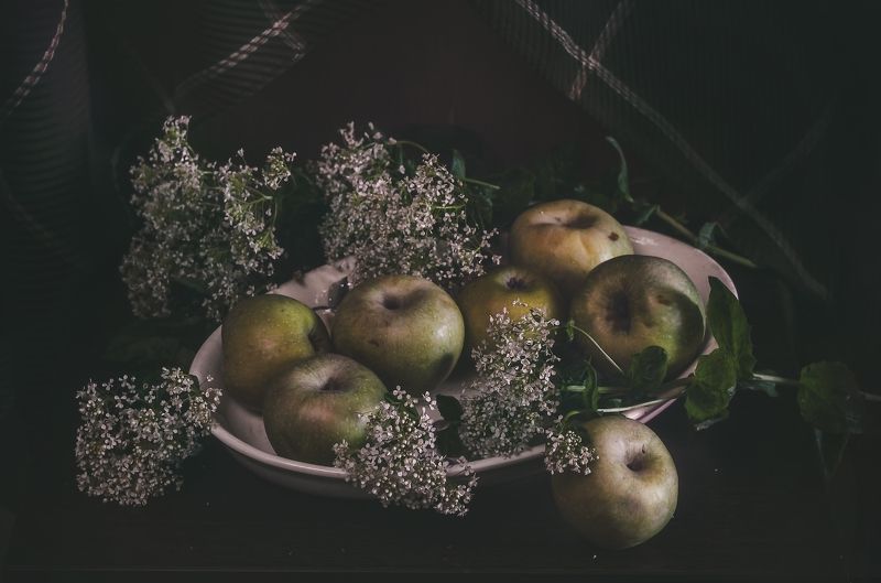 яблоки, натюрморт с яблоками Яблоки на блюде фото превью