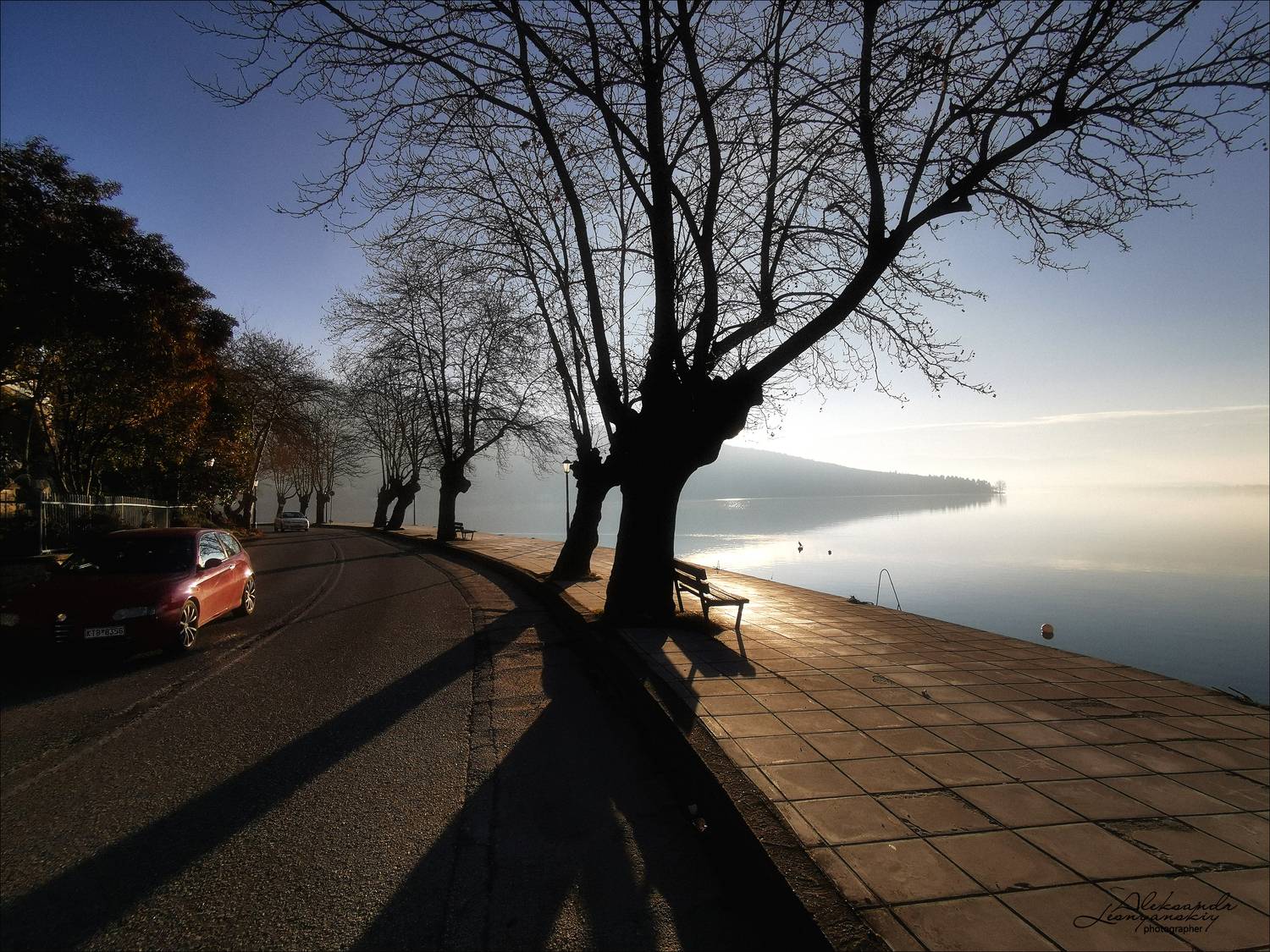 , Александр Леснянский