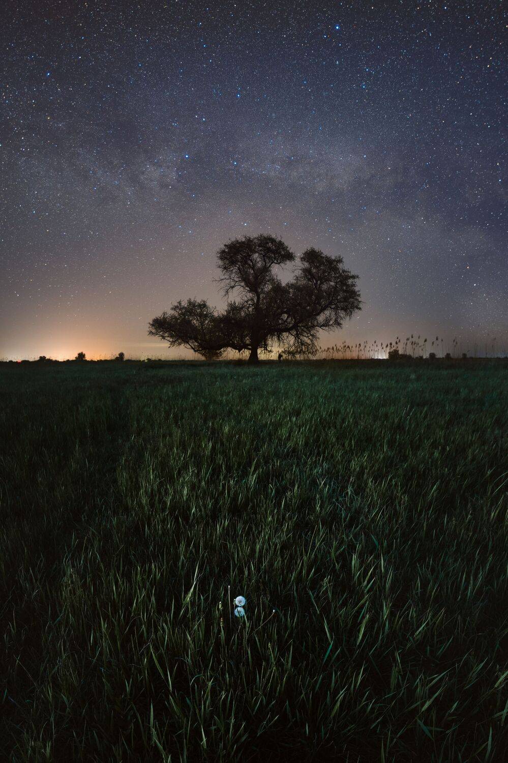 ночь, ночной пейзаж, млечный путь, астрахань, степь, звезды, астрофотография, Vladislav