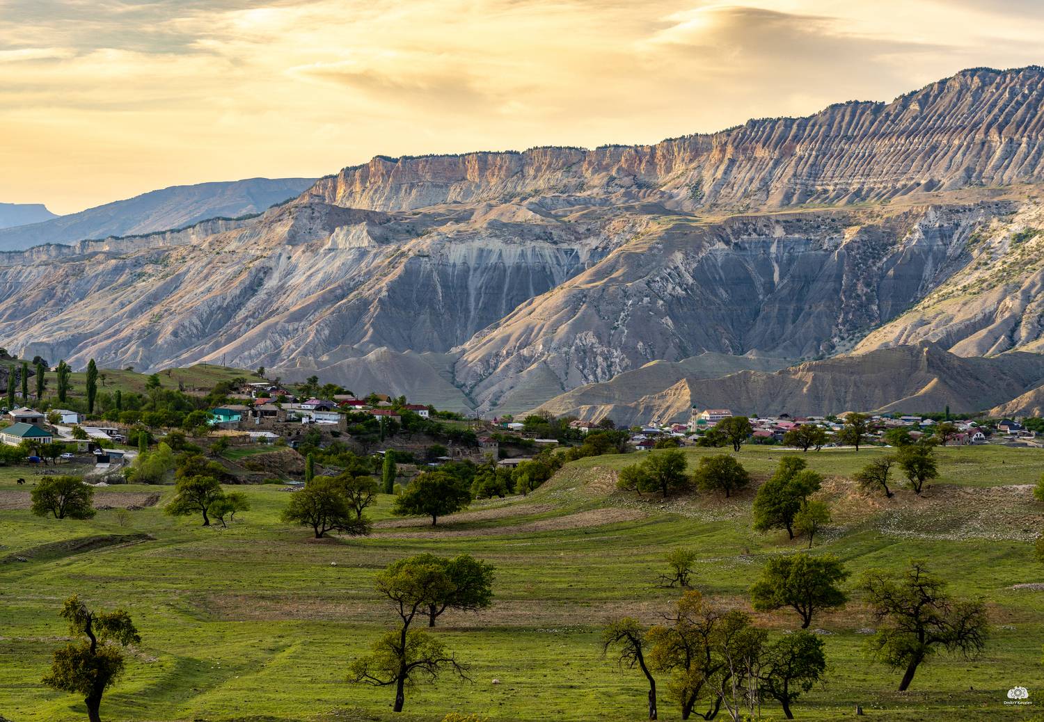 , Дмитрий Ковалев