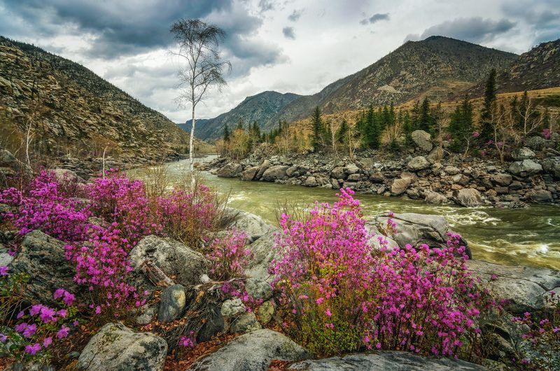 Сиреневый май... фото превью