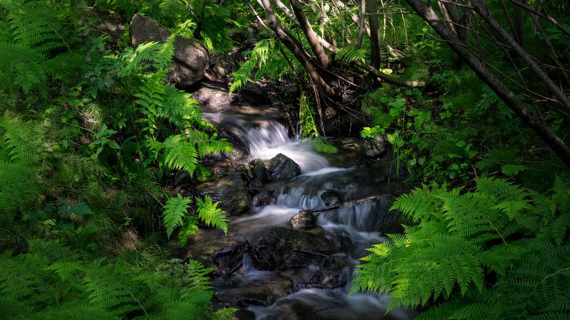 zuiko 28/2 sony nex5n Scenic view of waterfall in forest фото превью