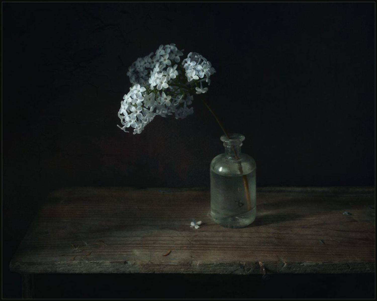 , Хромеев Александр