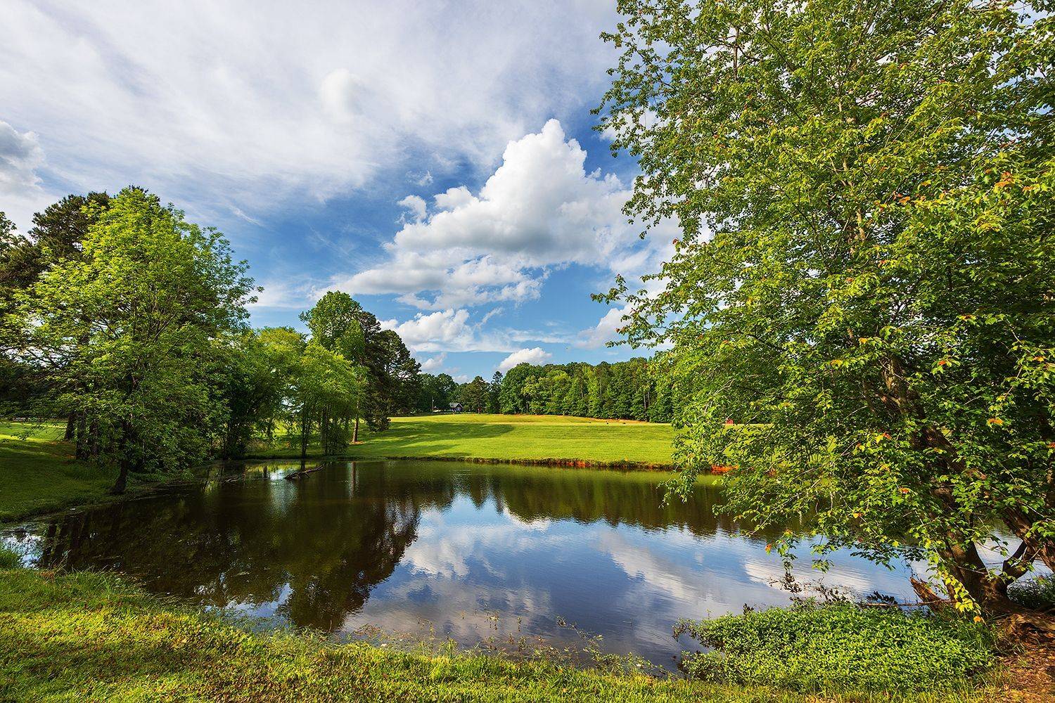 , Леонид Дьяченко