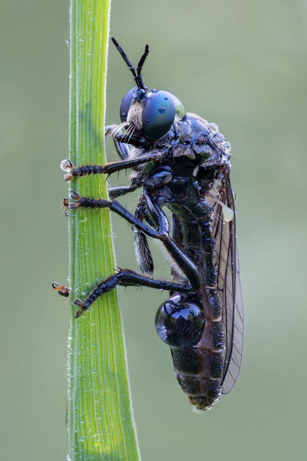 , Кузнецов Дмитрий