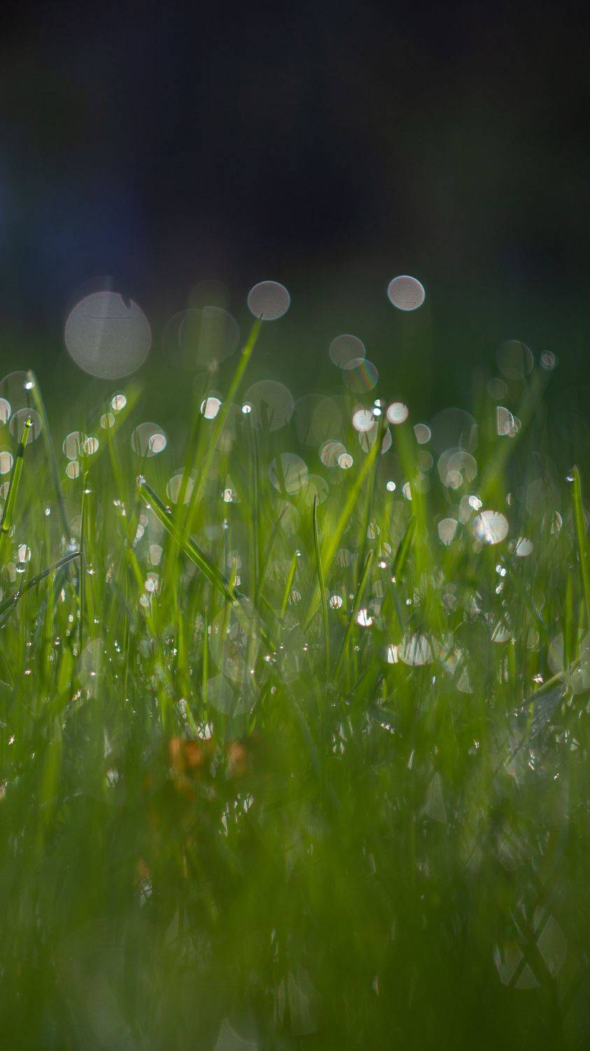 , Мария Обидина