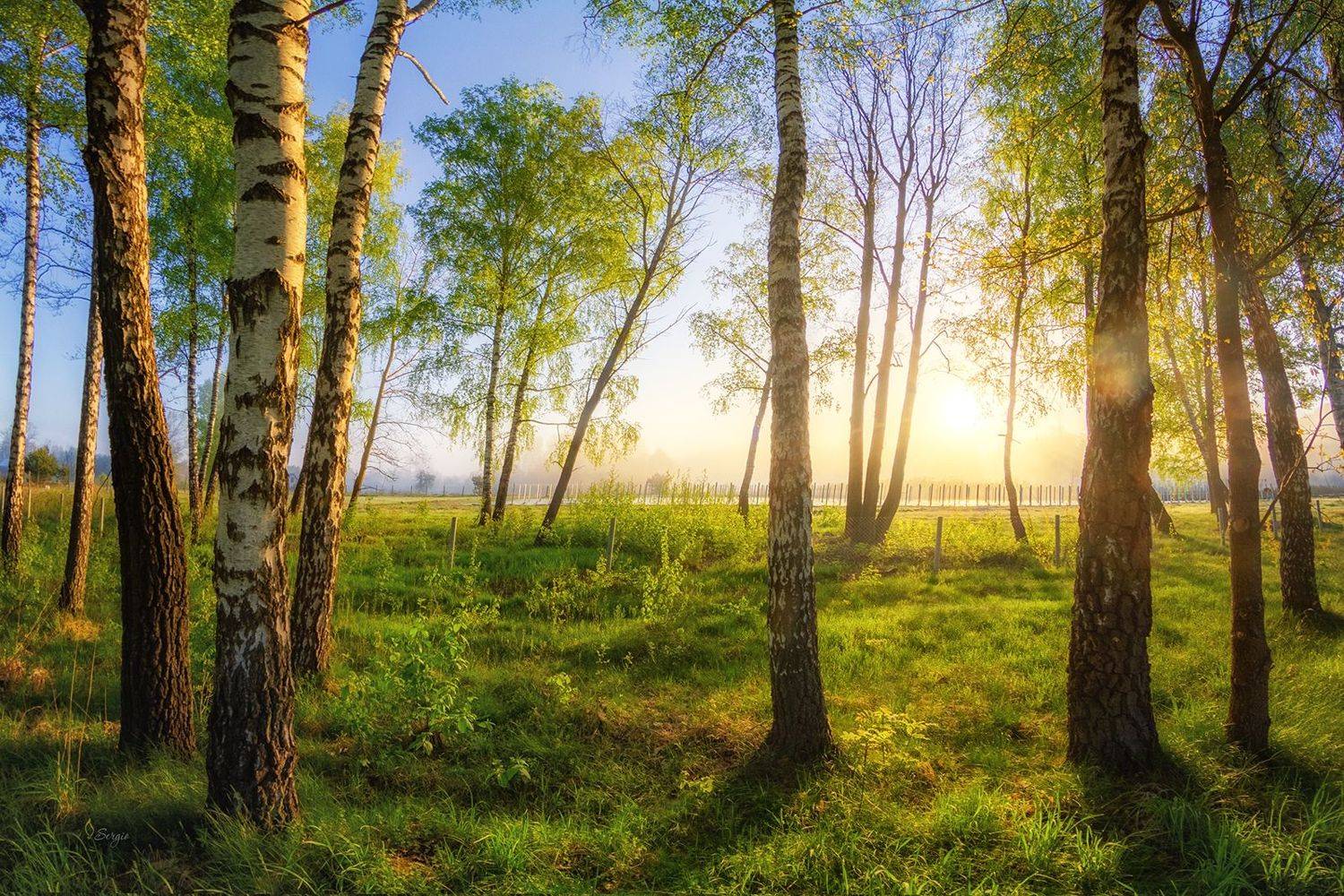 Беларусь, Серж Домбровский