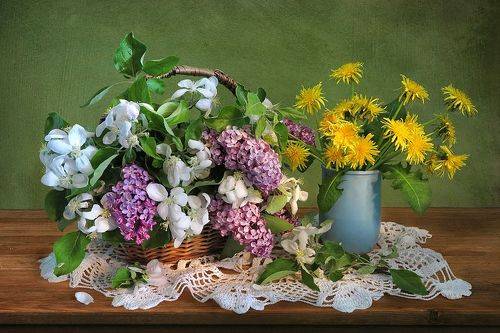 Весны цветенье