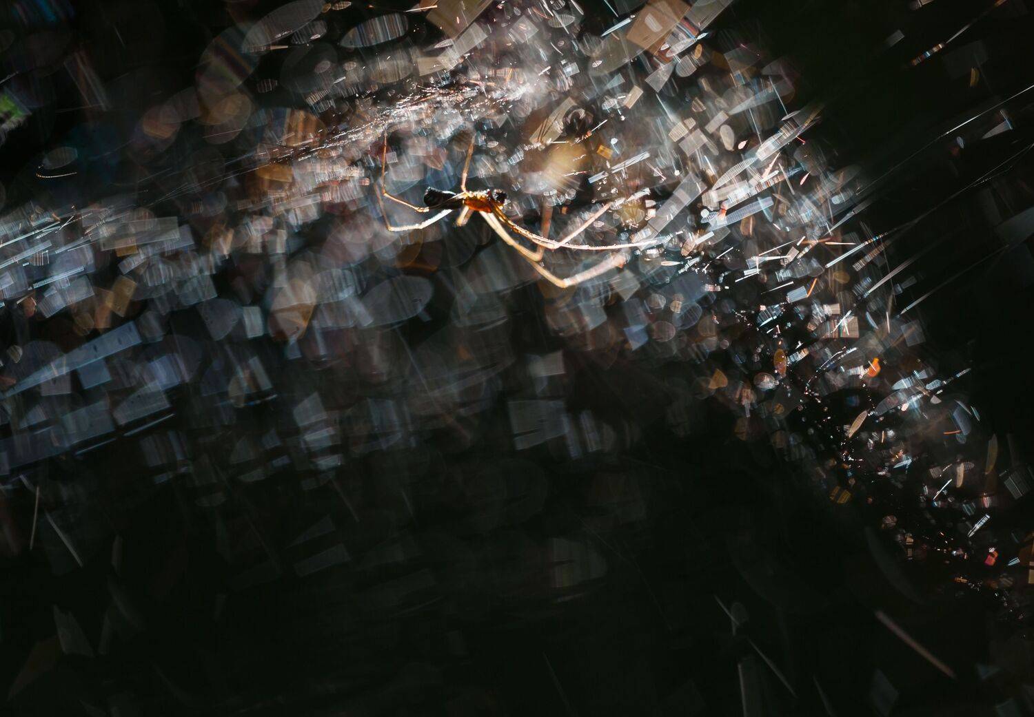 , Викулов Николай