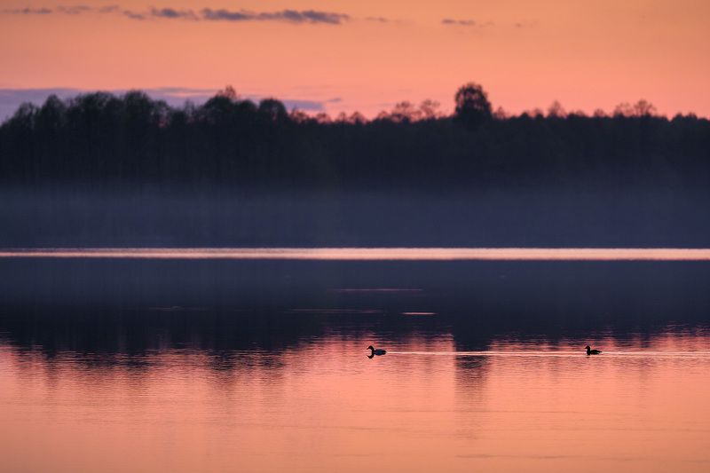 Вечер на озере фото превью