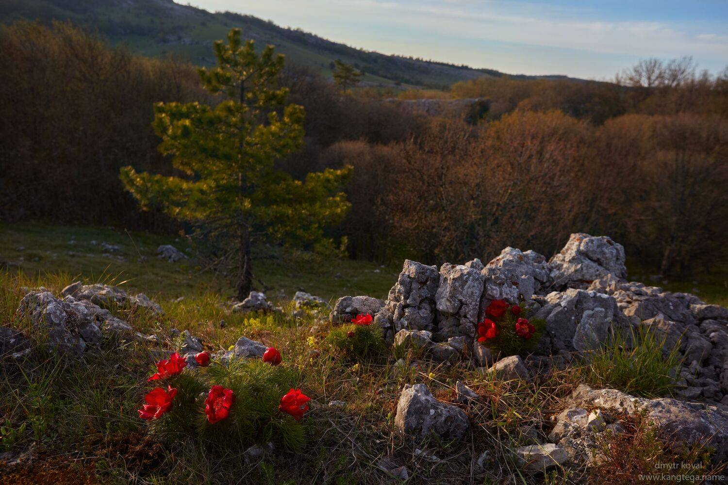 дмитр коваль, гималаи и крым вне треков, пейзаж как магия, Коваль Дмитр