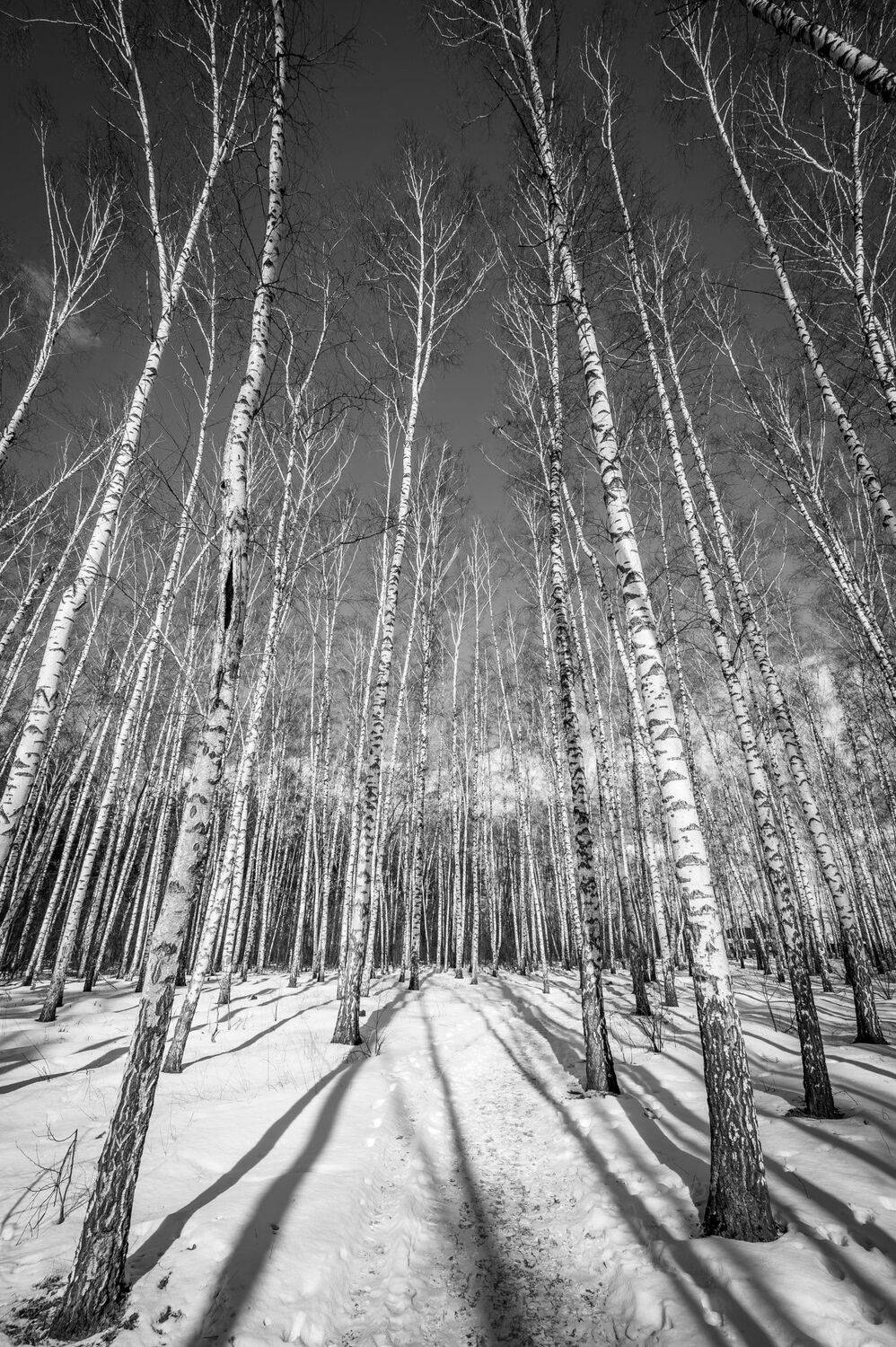 , Караваев Антон