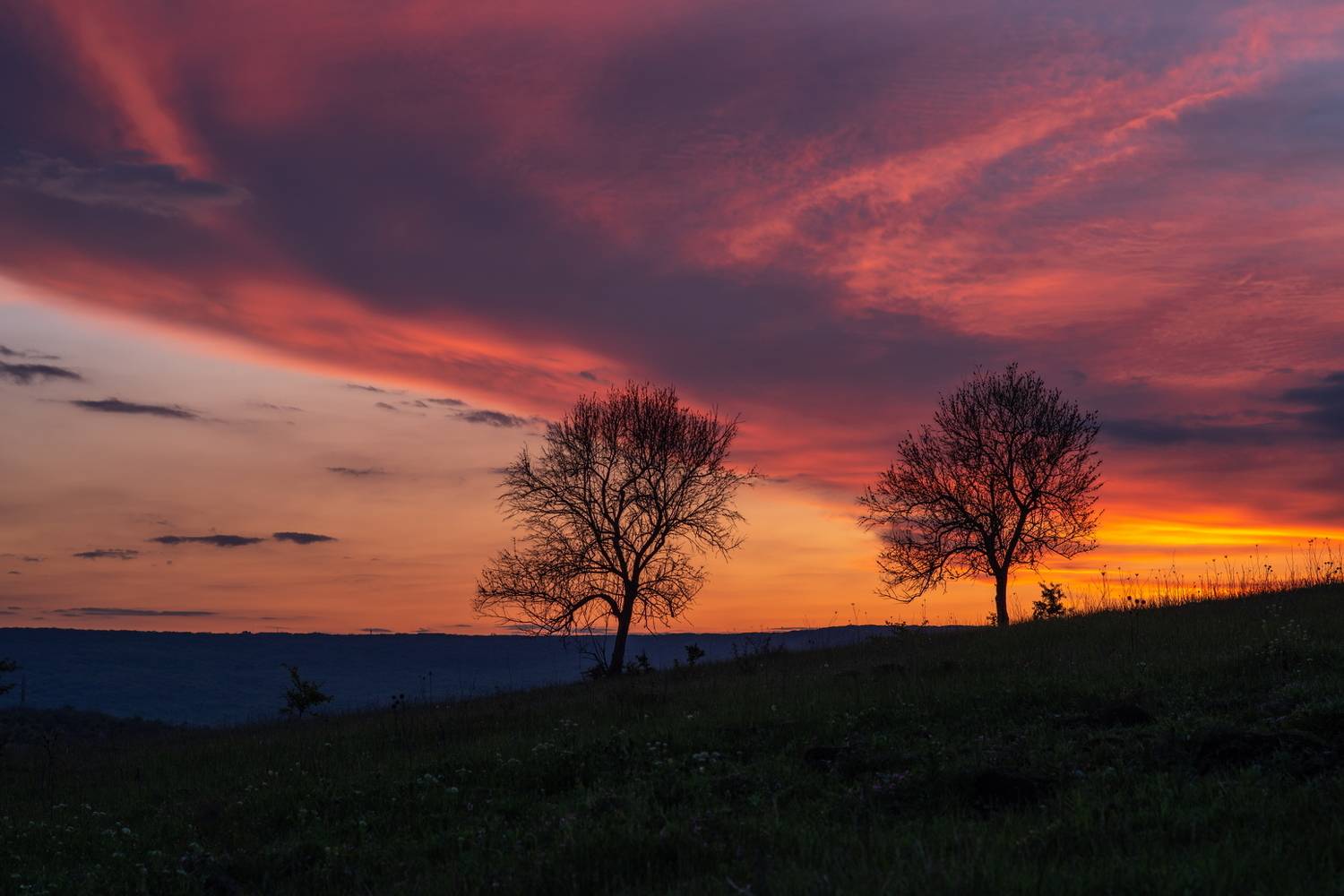 закат, вечер, небо, зарево, облака, деревья, поле, холмы, май, вксна, Арсен Алабердов