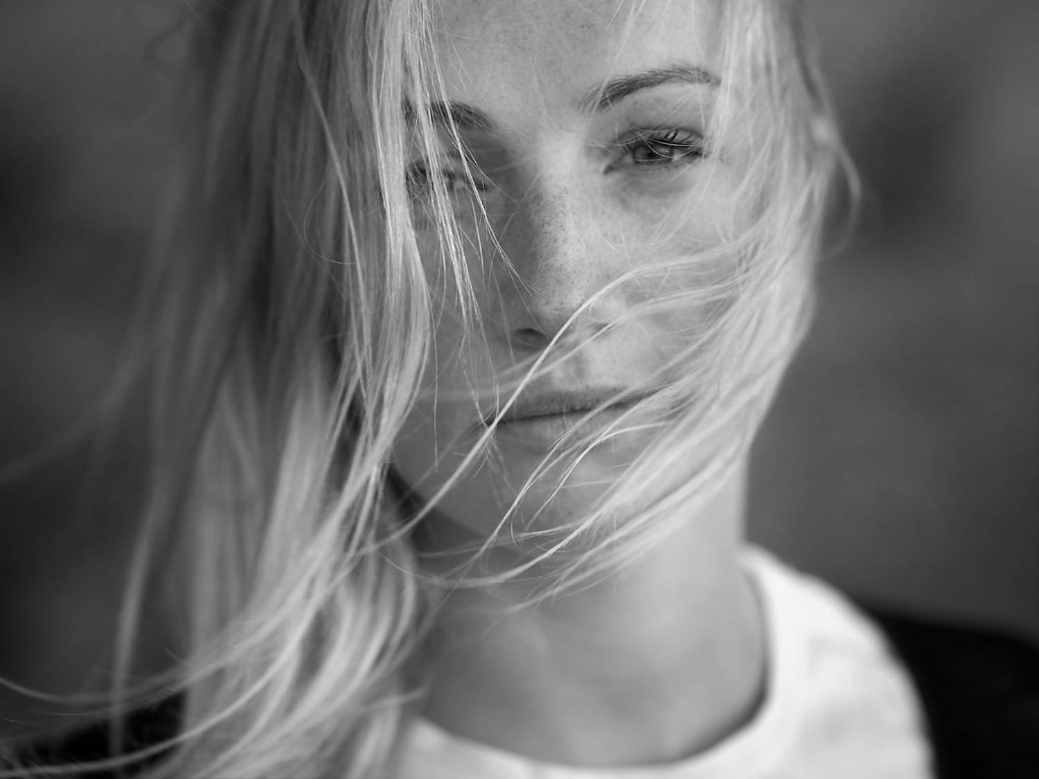 , Покровский Антон