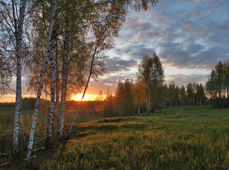 на закате. фото превью