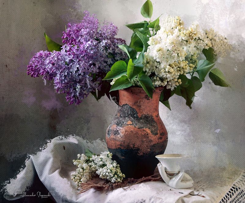 *** фото превью