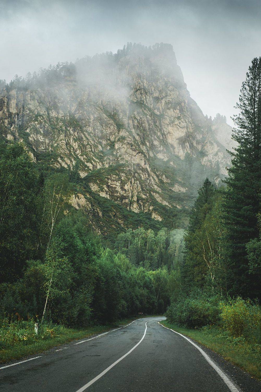 хакасия, сибирь, дорога, пейзаж, Юлия Горбачёва