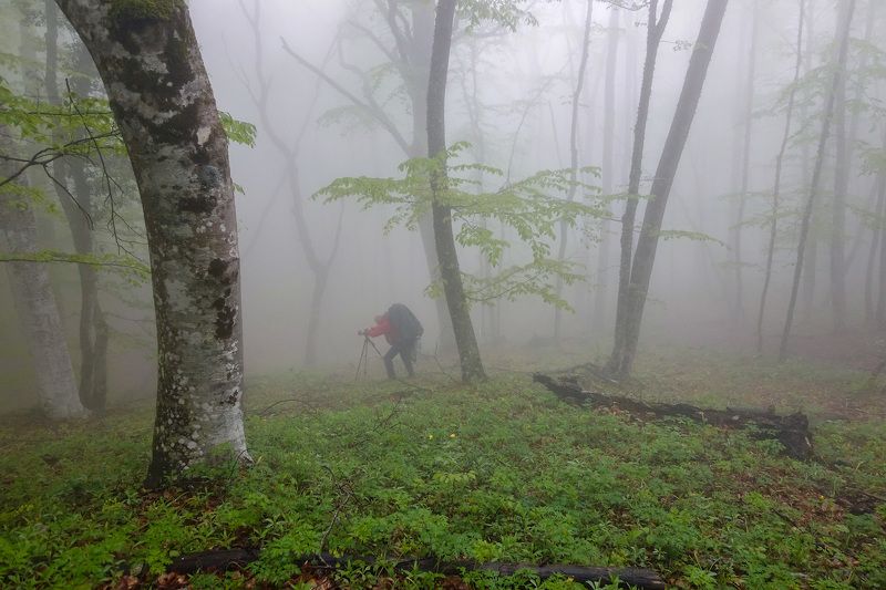 В поисках ракурса фото превью