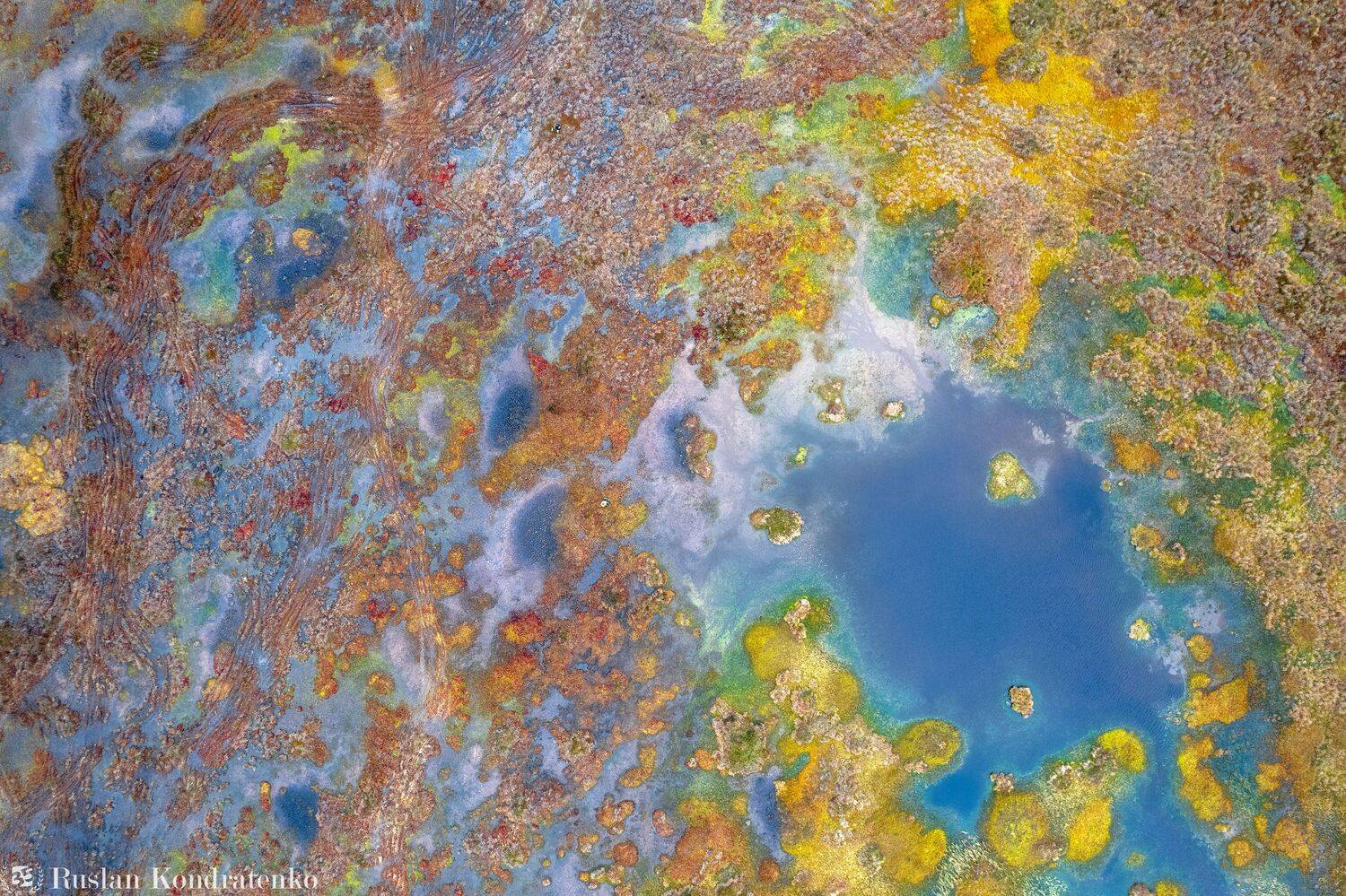 аэрофото, съемка с дрона, аэрофотография, air 2s, topdown, болото, Руслан Кондратенко