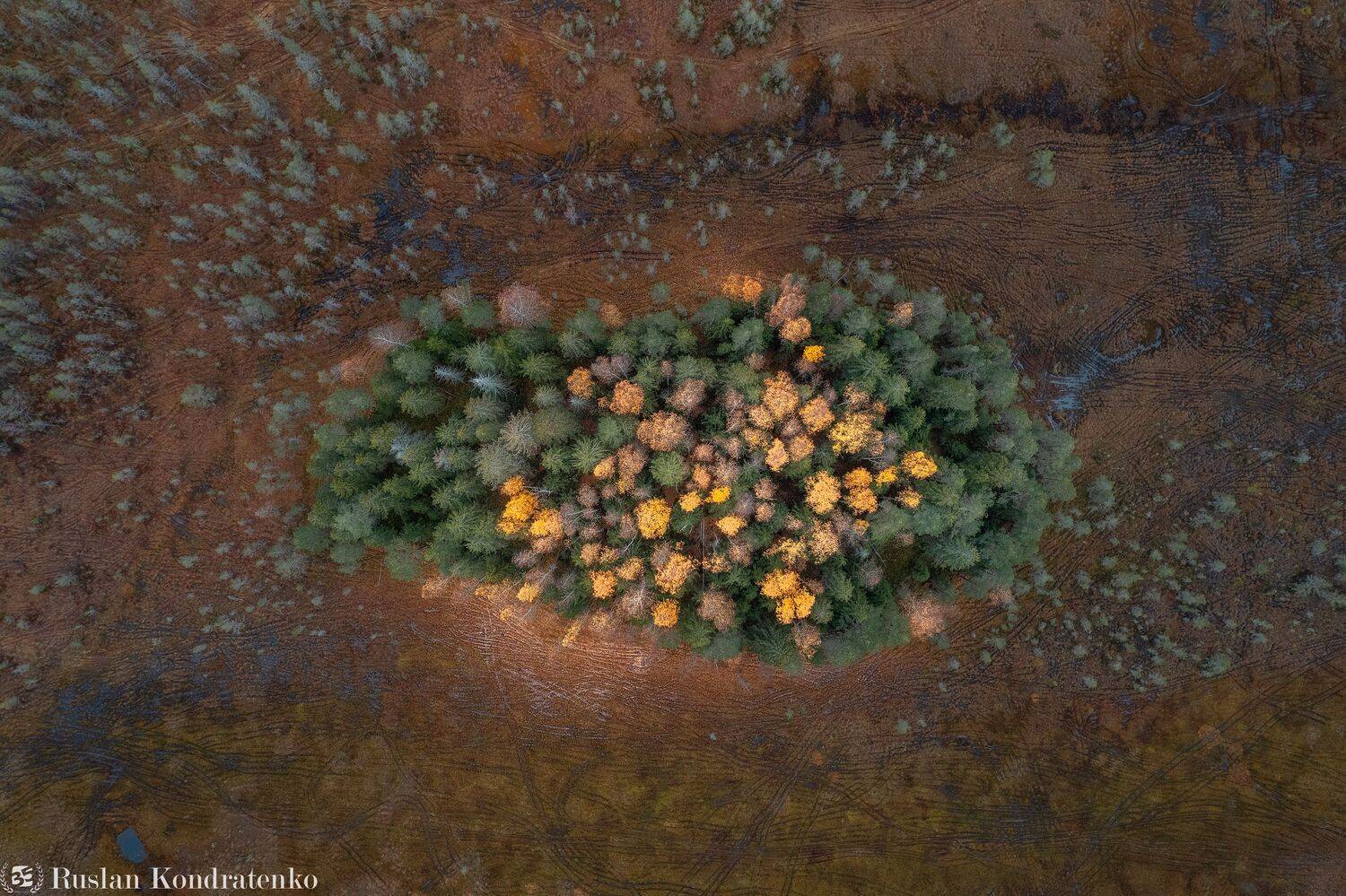 аэрофото, съемка с дрона, аэрофотография, air 2s, topdown, болото, Руслан Кондратенко