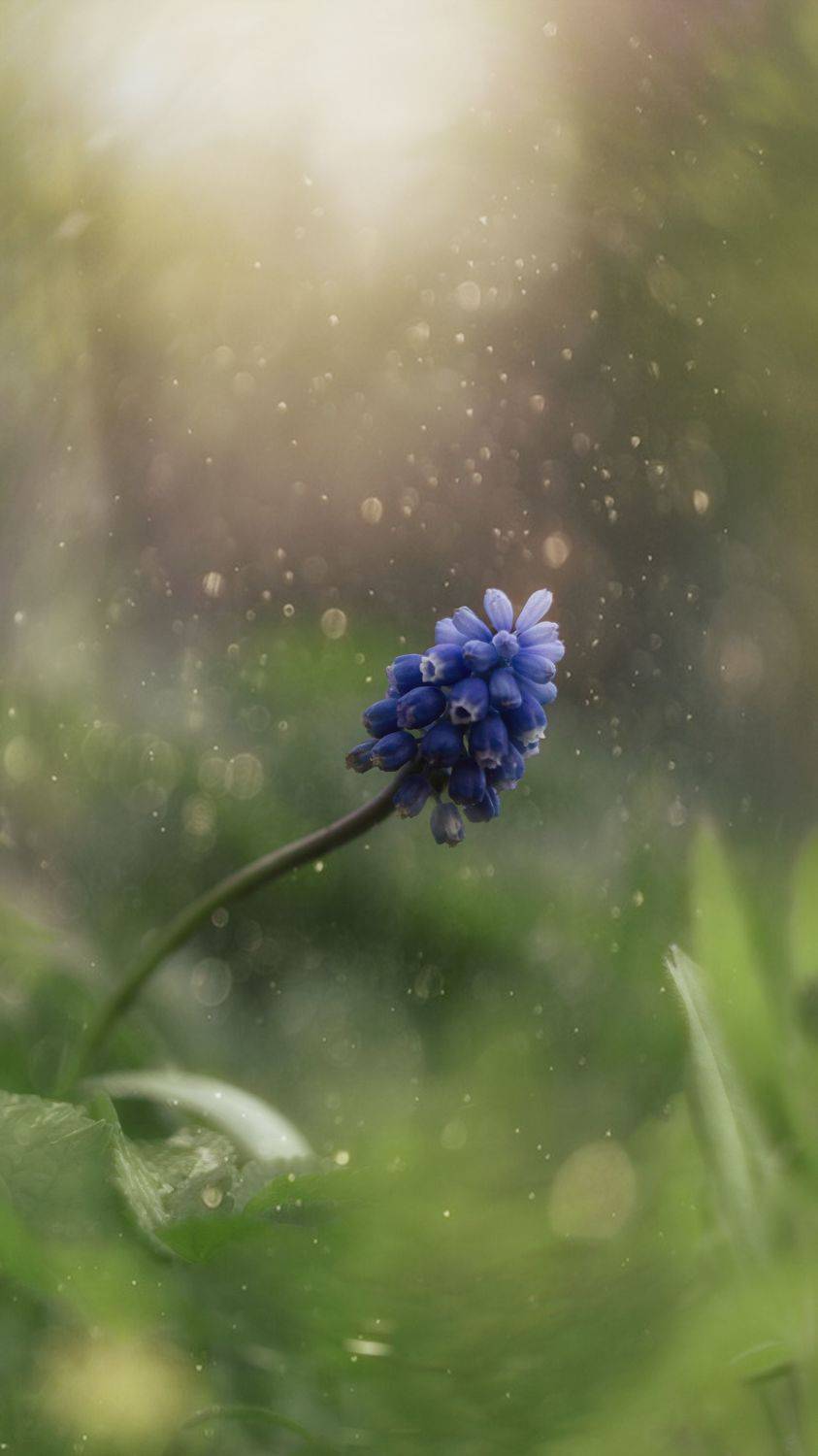 , Мария Обидина