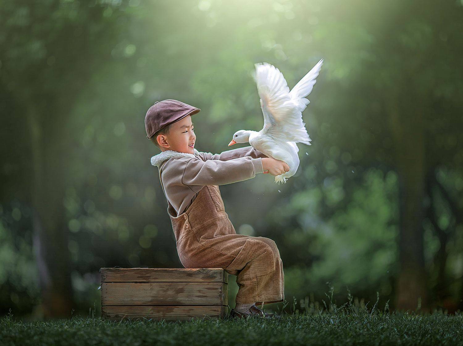 yao wenqi,  姚文琦