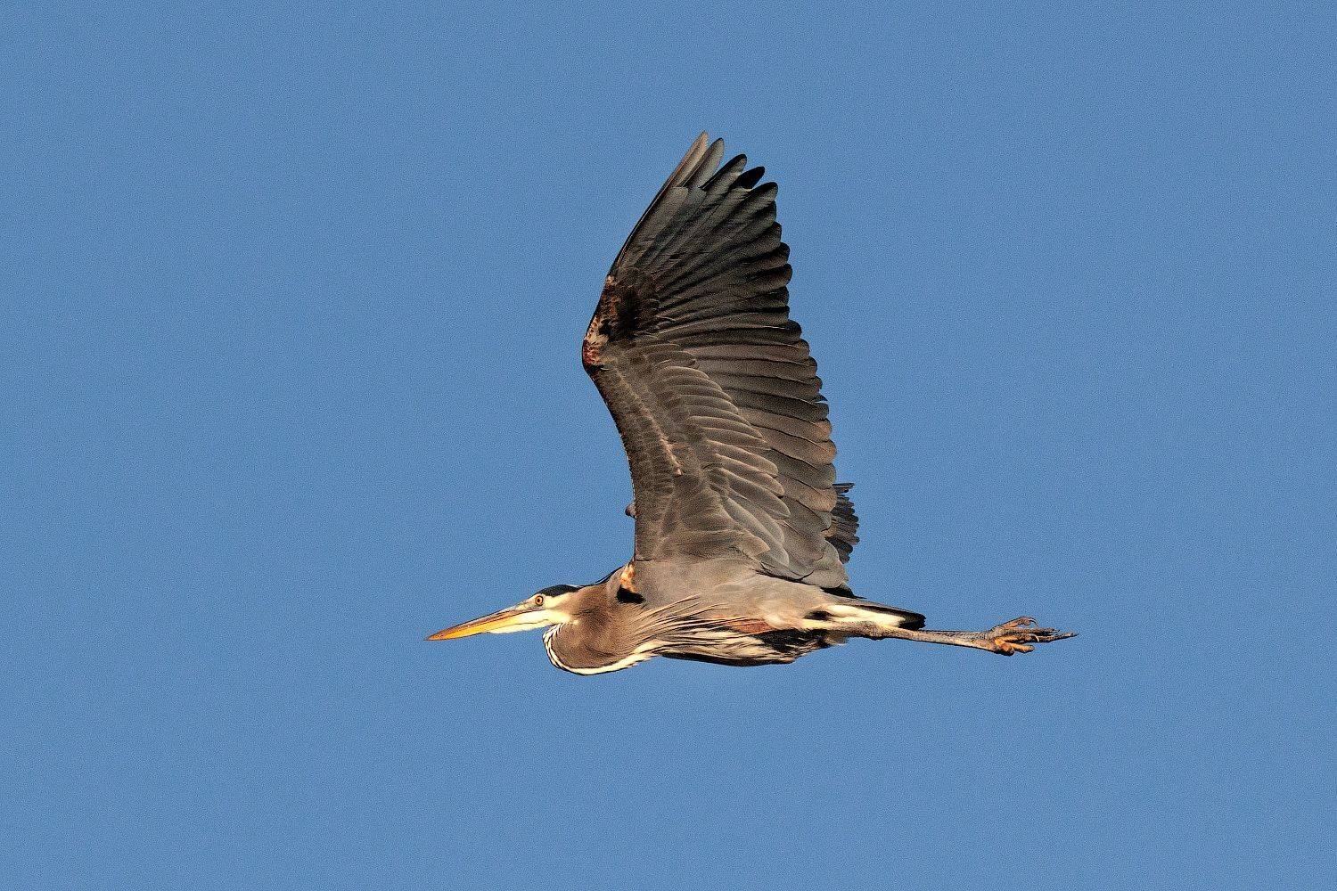, Леонид Дьяченко
