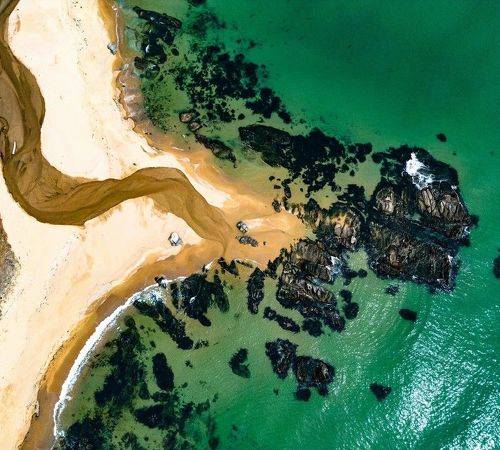 Заповедные берега