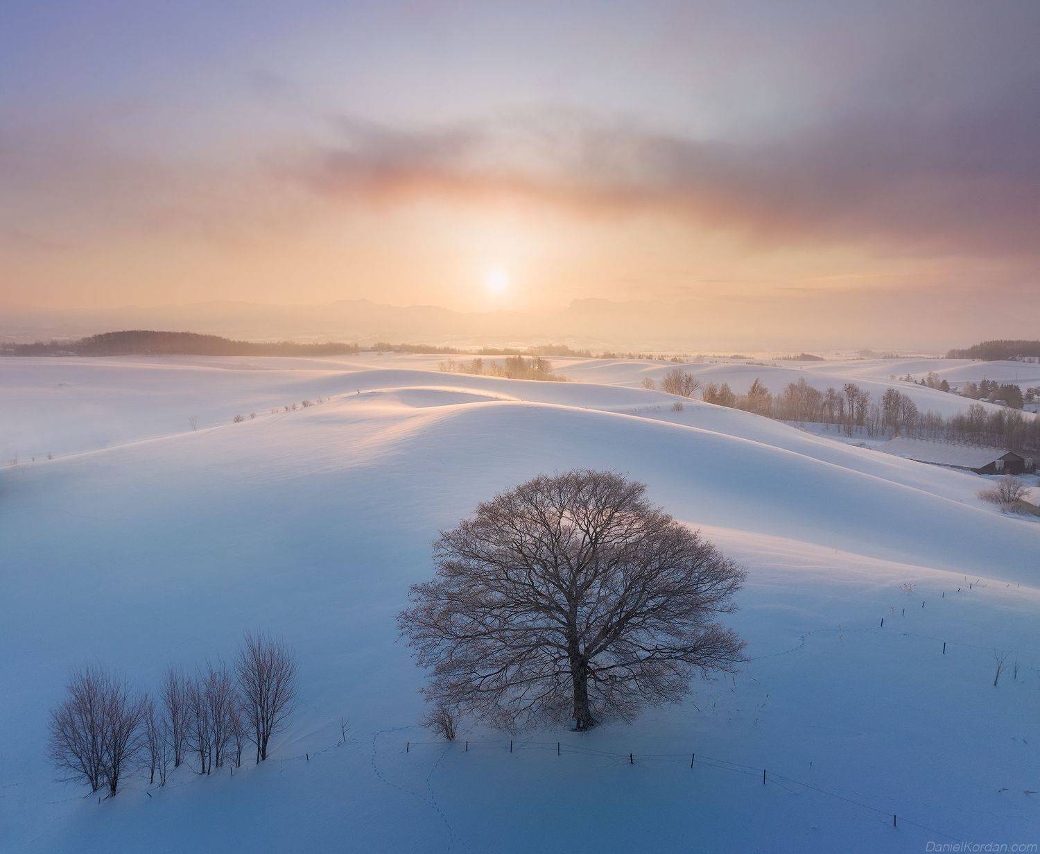 , Даниил Коржонов