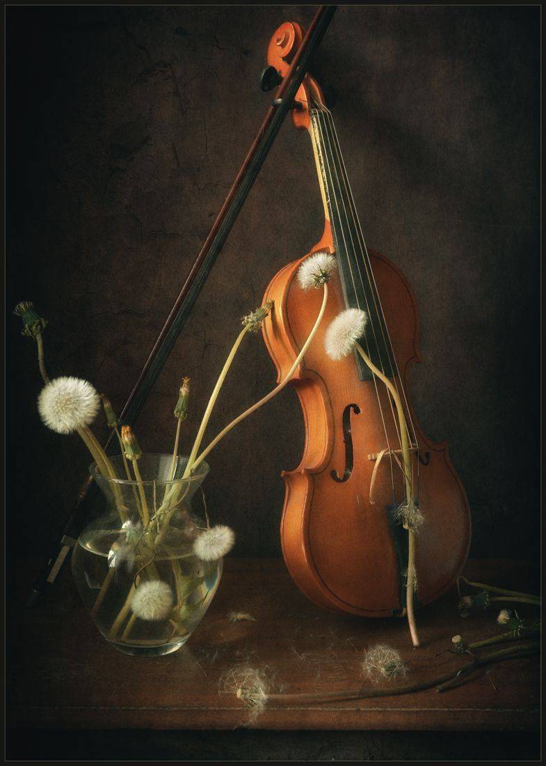 , Хромеев Александр