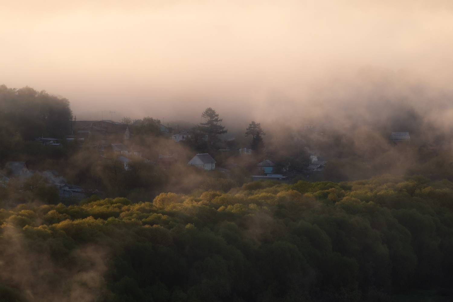 , Стрельцов Виталий