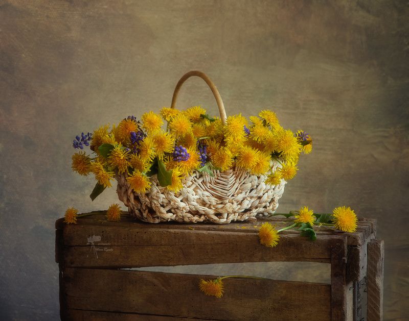 *** фото превью