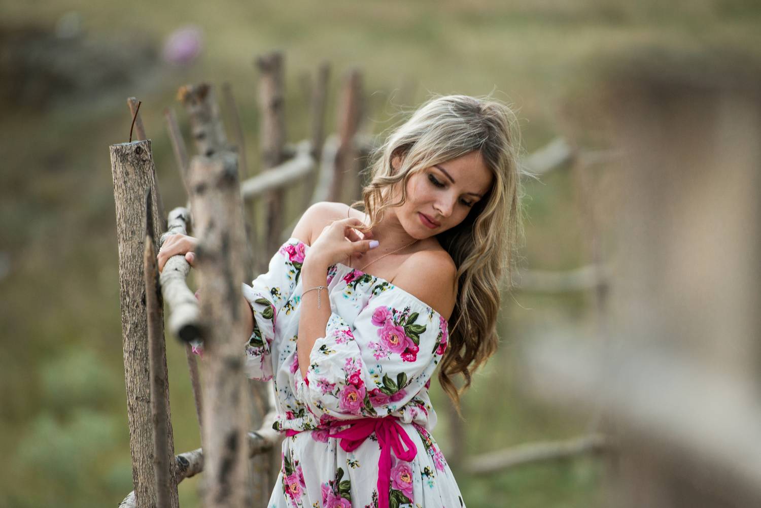 , Дмитрий Величко