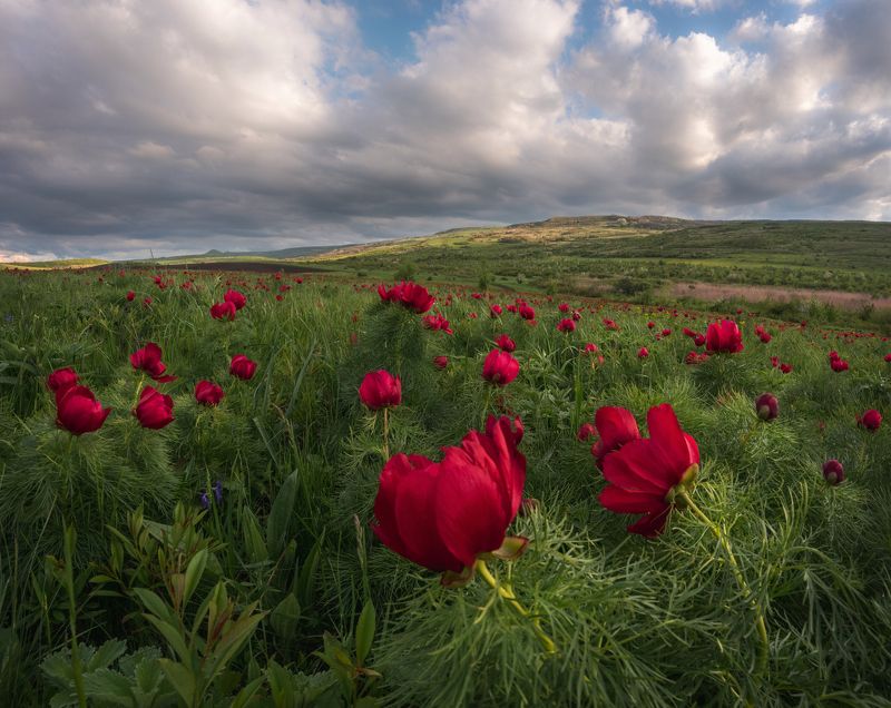 ... фото превью