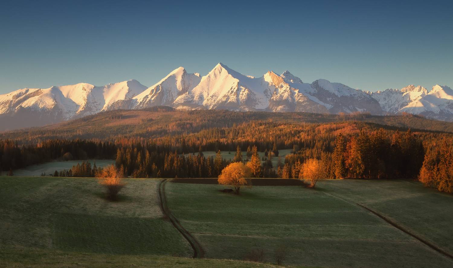 , Евгений Матюшенков
