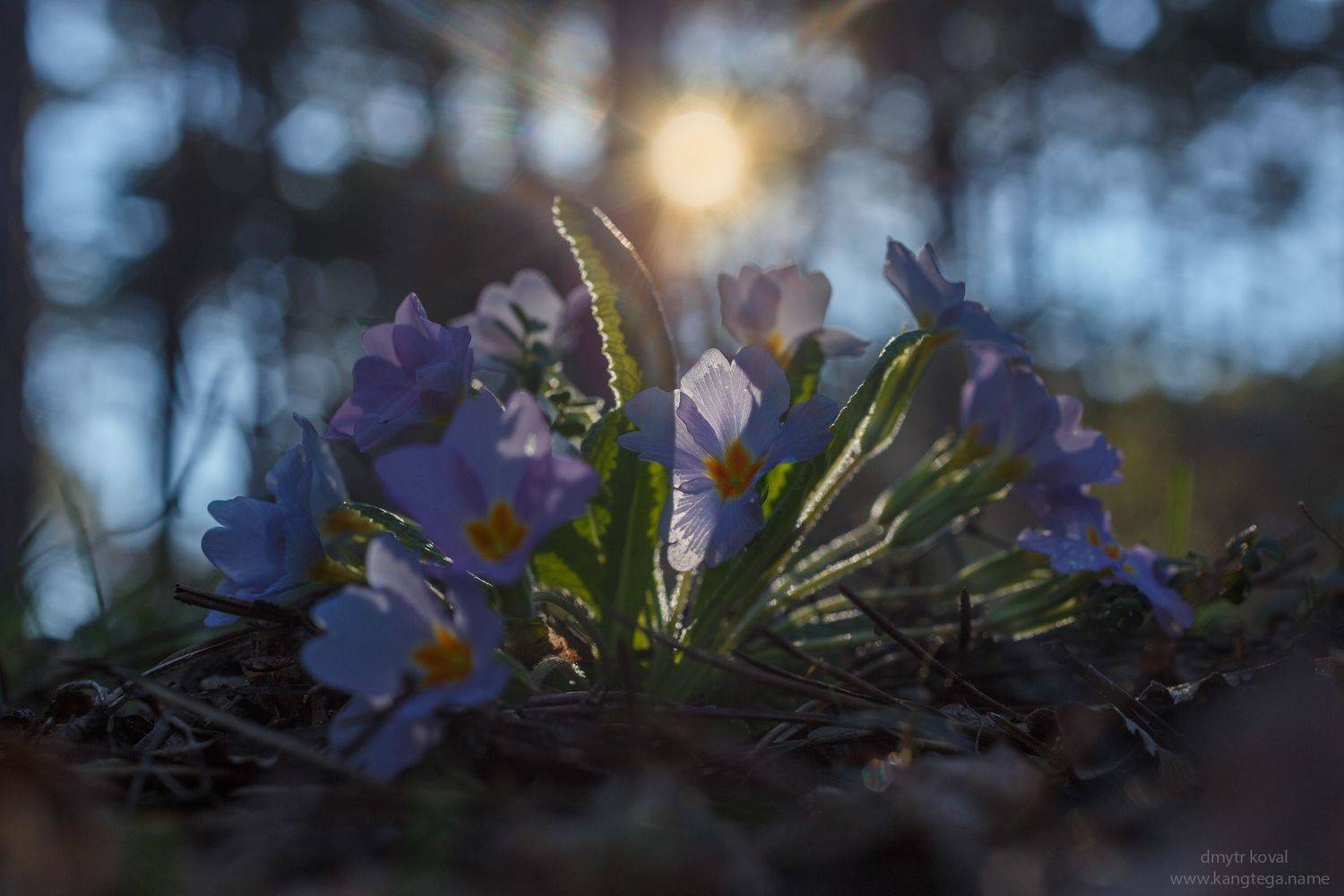 дмитр коваль, гималаи и крым вне треков, пейзаж как магия, Коваль Дмитр