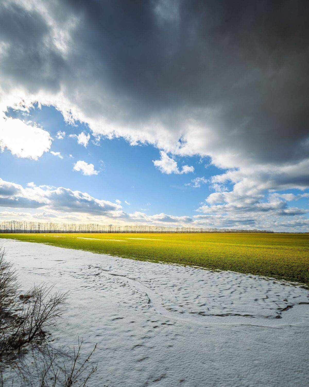 , Караваев Антон