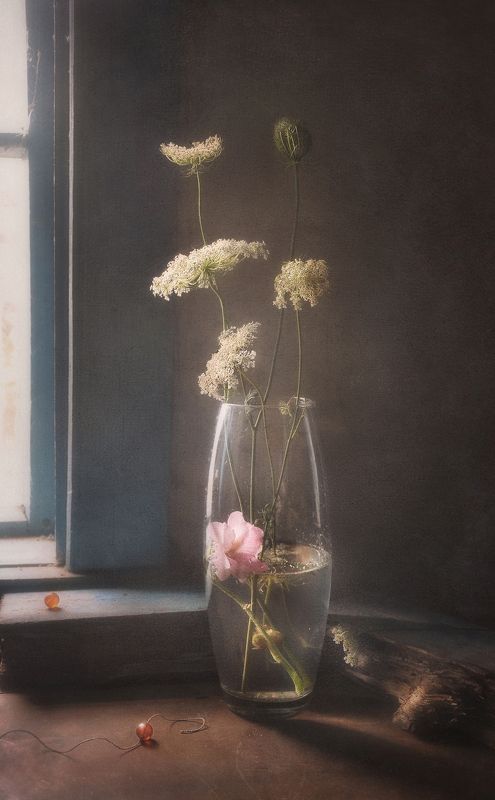 Нити-стебли грусти светлой фото превью