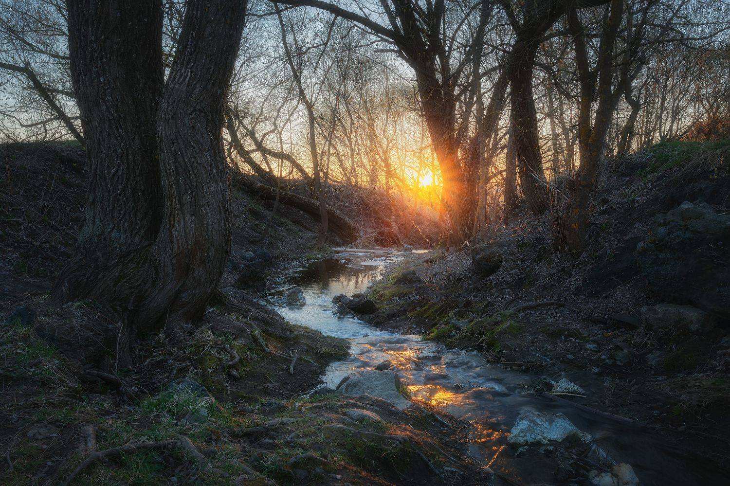 пейзаж, рассвет, весна, Московская Область, природа, Мартыненко Дмитрий