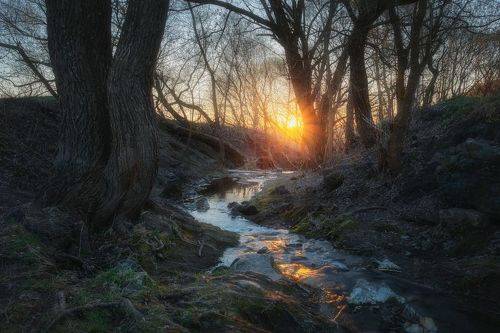 Рассвет у ручья