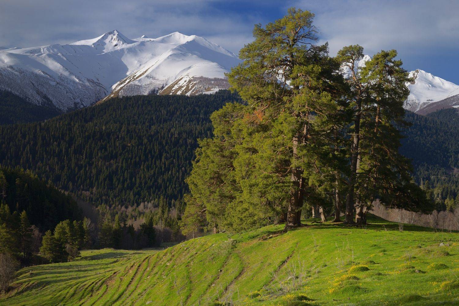 горы, весна, архыз, Александр Жарников
