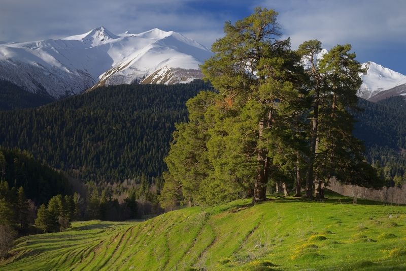 Весна в Архызе фото превью