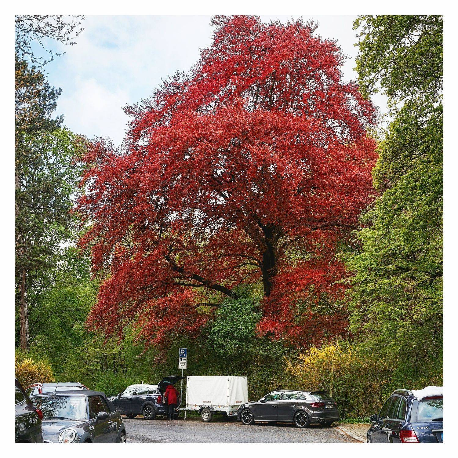 , Станислав