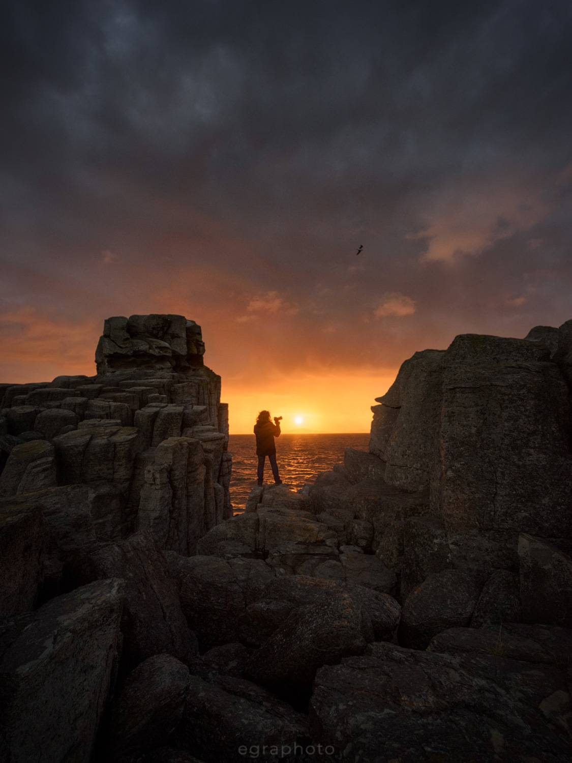 russia, primorye, primorsky krai, far east, россия, приморский край, приморье, дальний восток, Рябенький Александр