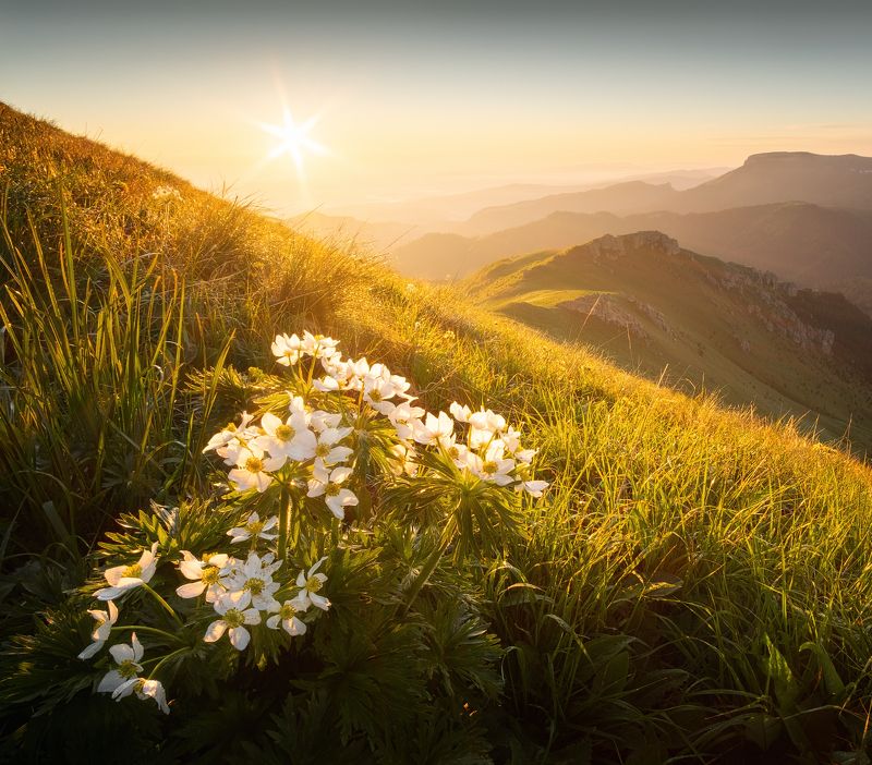 кавказ, горы, тхач, большой тхач, ачешбоки, весна, адыгея, пейзаж, природа, кавказские горы Теплая улыбка нового дня фото превью