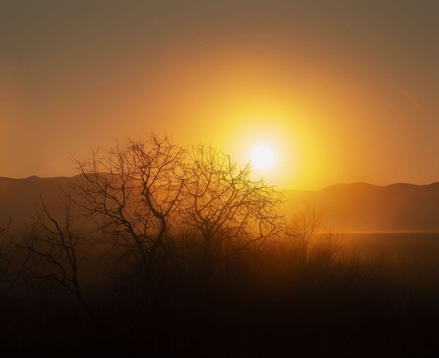 , Антонов Антон