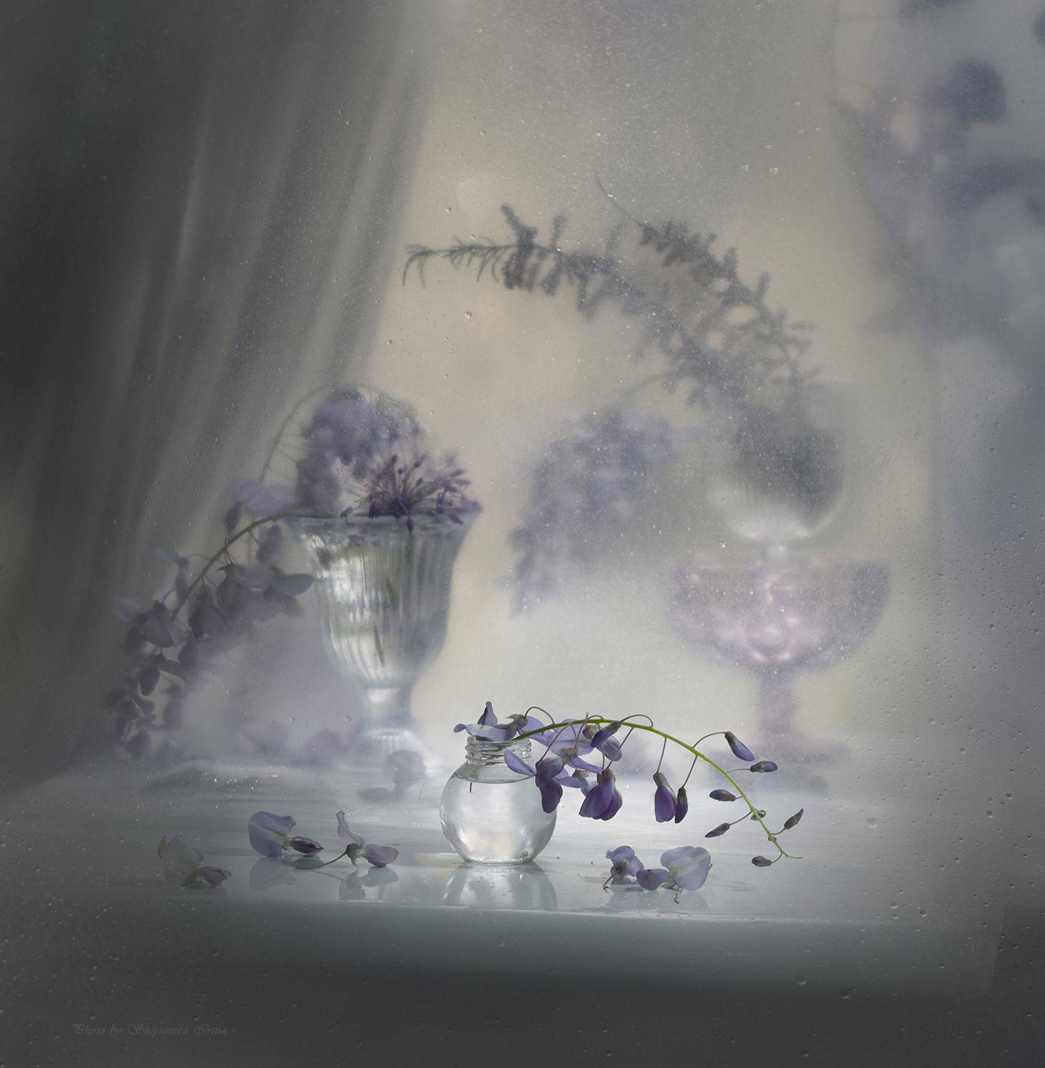 , Ирина Шипунова