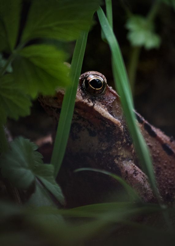 Interest фото превью