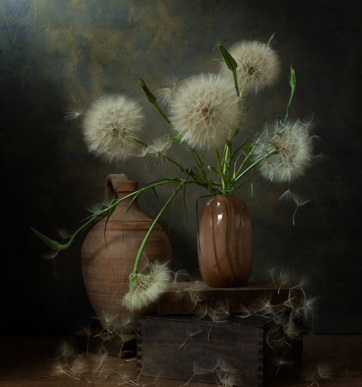 натюрморт, цветы, козлобородник, Оля