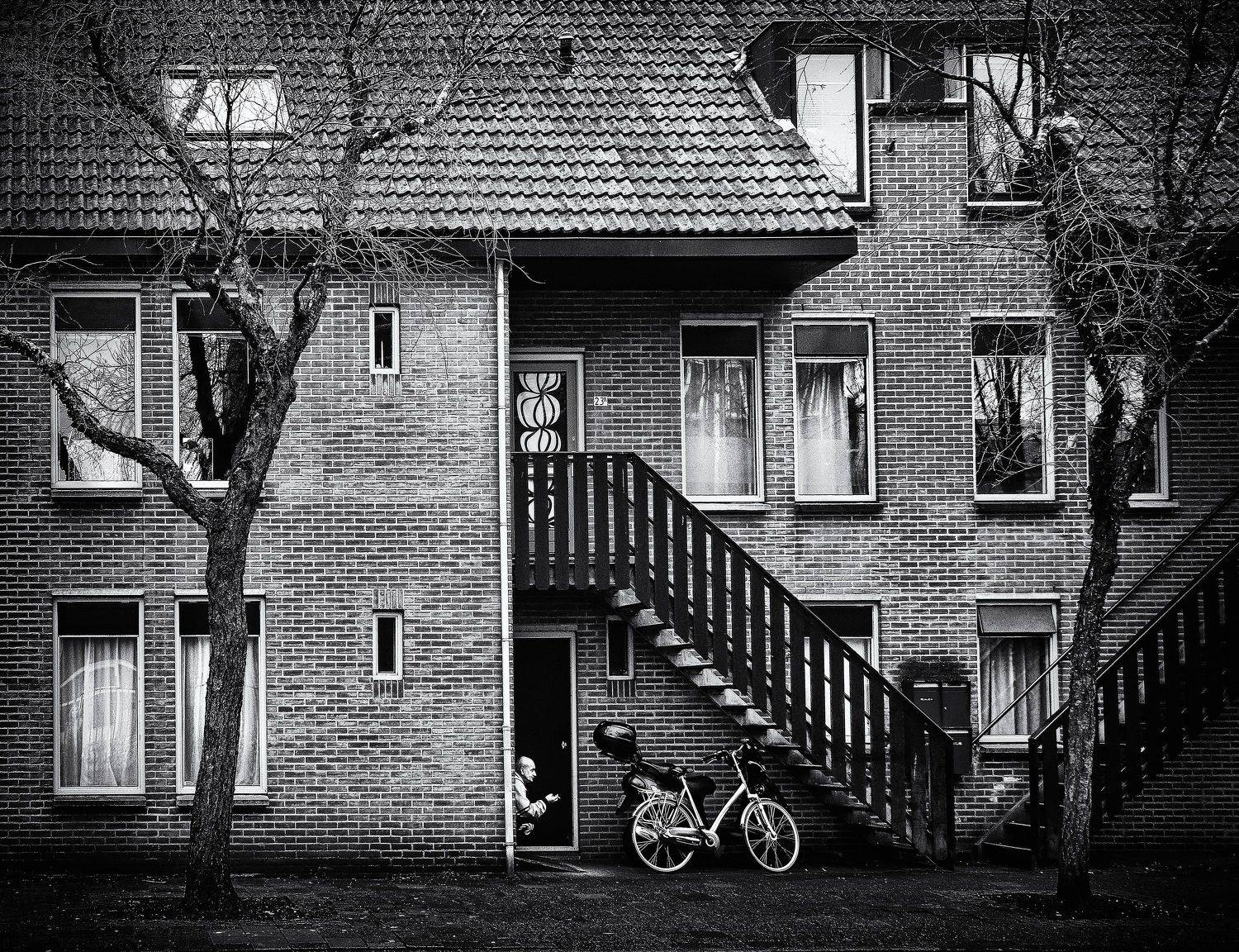 , Елена Лаврова